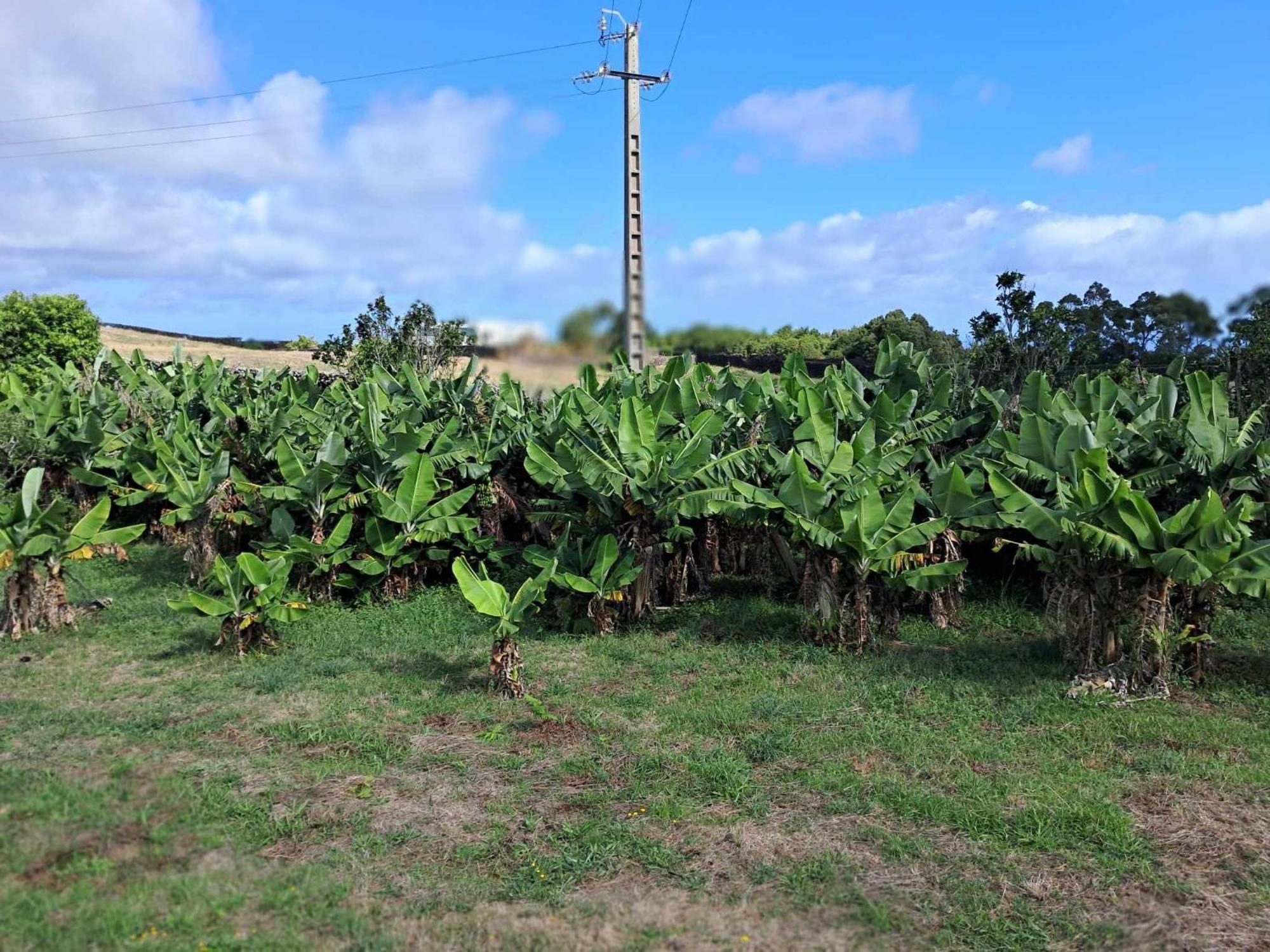 Quinta Do Norte Capelas Exterior photo